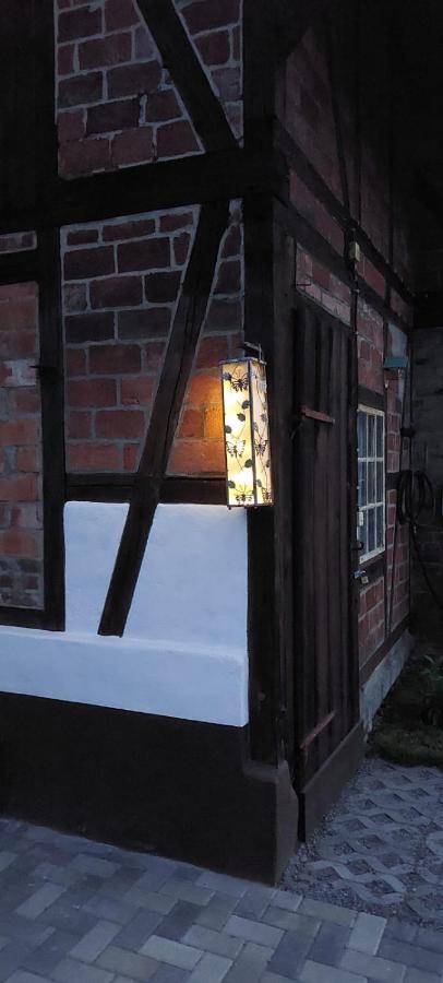 Ferienhaus Blaue Blume Mit 11 Kw Ladestation, Kamin, Terrasse, Eingezaeuntem Garten, Sauna, Wlan, Netflix, 2 Hunde Willkommen! Güntersberge Exteriör bild