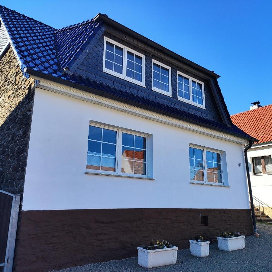 Ferienhaus Blaue Blume Mit 11 Kw Ladestation, Kamin, Terrasse, Eingezaeuntem Garten, Sauna, Wlan, Netflix, 2 Hunde Willkommen! Güntersberge Exteriör bild