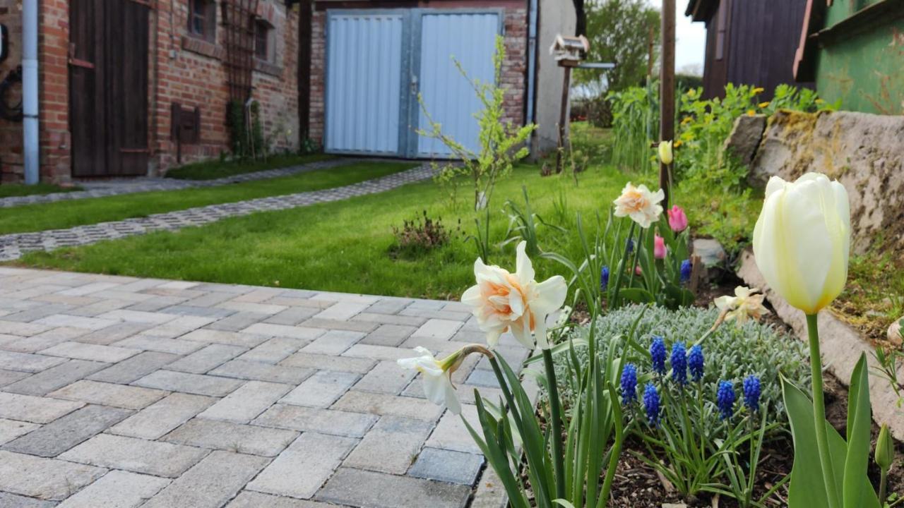 Ferienhaus Blaue Blume Mit 11 Kw Ladestation, Kamin, Terrasse, Eingezaeuntem Garten, Sauna, Wlan, Netflix, 2 Hunde Willkommen! Güntersberge Exteriör bild