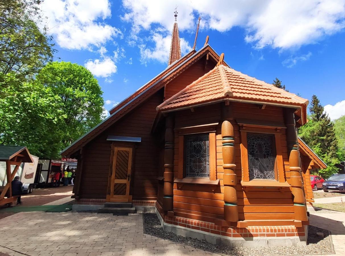 Ferienhaus Blaue Blume Mit 11 Kw Ladestation, Kamin, Terrasse, Eingezaeuntem Garten, Sauna, Wlan, Netflix, 2 Hunde Willkommen! Güntersberge Exteriör bild