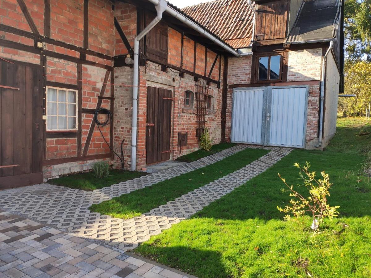 Ferienhaus Blaue Blume Mit 11 Kw Ladestation, Kamin, Terrasse, Eingezaeuntem Garten, Sauna, Wlan, Netflix, 2 Hunde Willkommen! Güntersberge Exteriör bild
