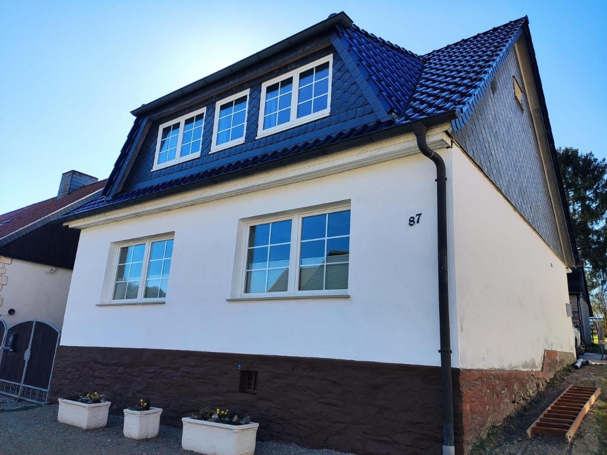 Ferienhaus Blaue Blume Mit 11 Kw Ladestation, Kamin, Terrasse, Eingezaeuntem Garten, Sauna, Wlan, Netflix, 2 Hunde Willkommen! Güntersberge Exteriör bild