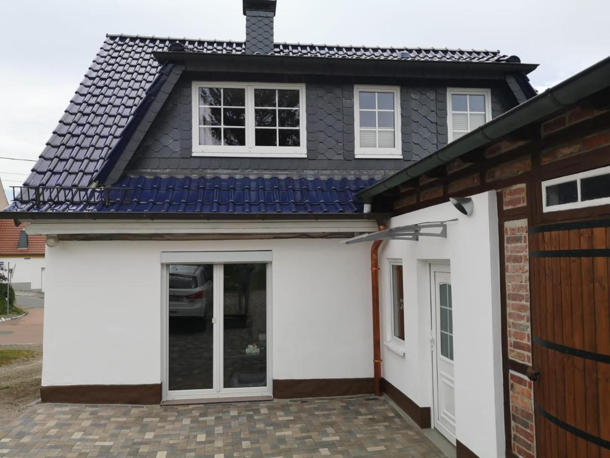 Ferienhaus Blaue Blume Mit 11 Kw Ladestation, Kamin, Terrasse, Eingezaeuntem Garten, Sauna, Wlan, Netflix, 2 Hunde Willkommen! Güntersberge Exteriör bild