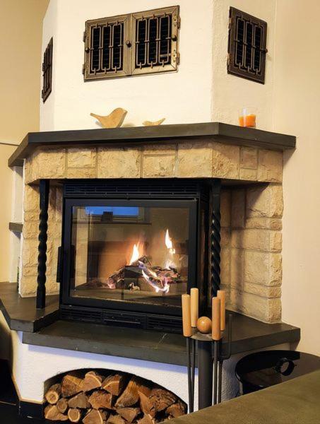 Ferienhaus Blaue Blume Mit 11 Kw Ladestation, Kamin, Terrasse, Eingezaeuntem Garten, Sauna, Wlan, Netflix, 2 Hunde Willkommen! Güntersberge Exteriör bild