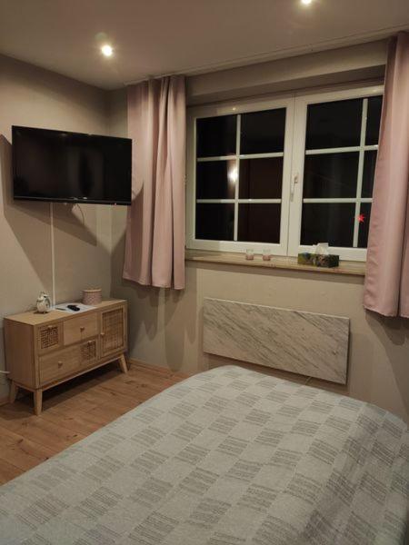 Ferienhaus Blaue Blume Mit 11 Kw Ladestation, Kamin, Terrasse, Eingezaeuntem Garten, Sauna, Wlan, Netflix, 2 Hunde Willkommen! Güntersberge Exteriör bild